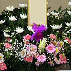 ���i�C���[�W