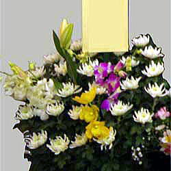 ���i�C���[�W